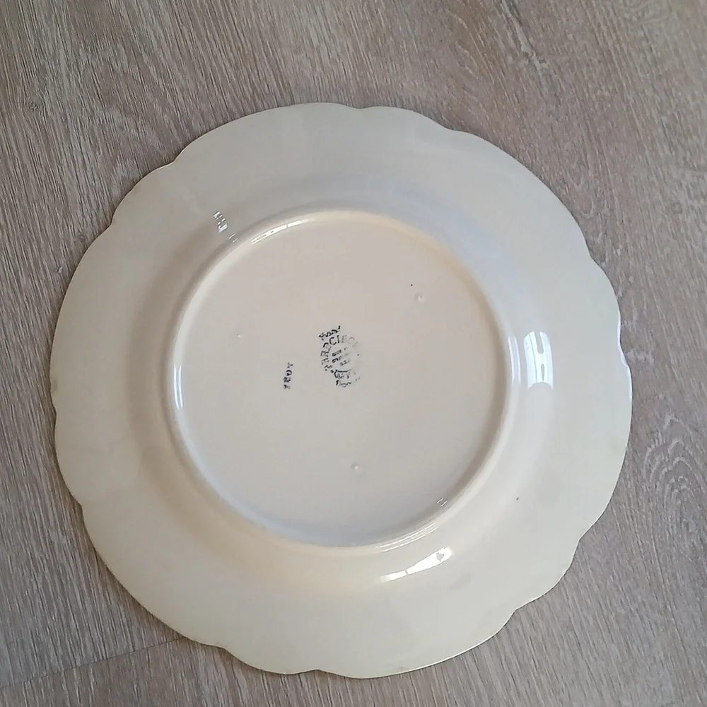 Vintage Franciscan Desert Pink Rose Dinner Plate Mid Century Modern